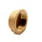 Thrifco Plumbing 1/4 Inch FIP Brass Cap 9316081 - alternate 4